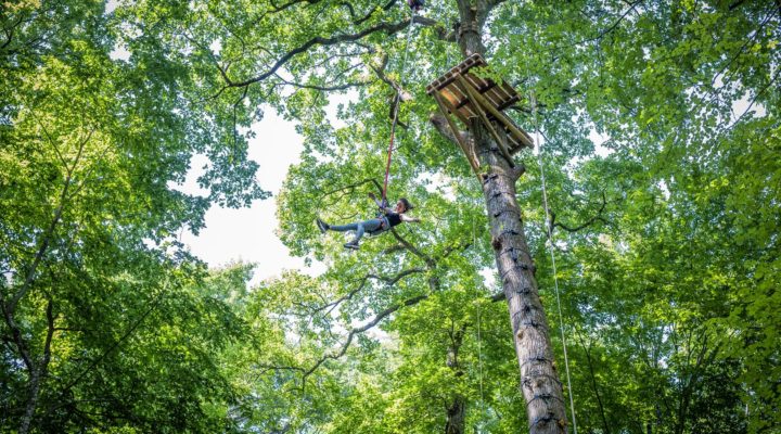 JUMPING FOREST CHENOISE MAI 2020 (132)