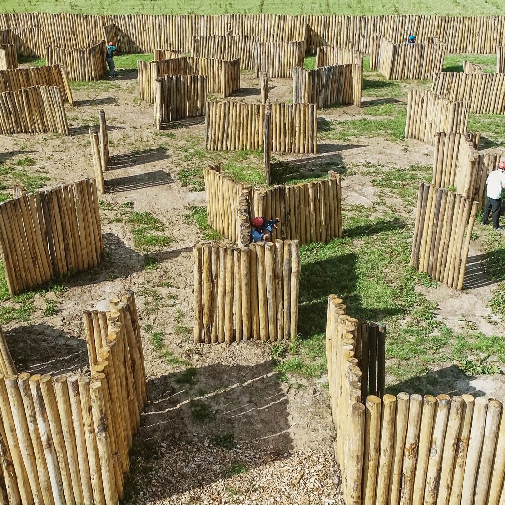 Jumping Forest 2018 (19)bis Jumping Forest 2018 (19)bis